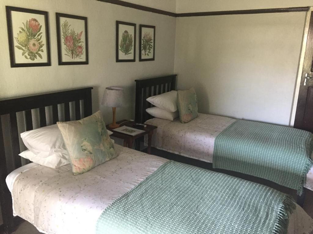 Beit Shalom Before Known As Best Little Guesthouse Oudtshoorn Εξωτερικό φωτογραφία