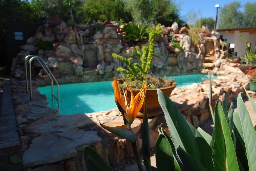 Beit Shalom Before Known As Best Little Guesthouse Oudtshoorn Εξωτερικό φωτογραφία